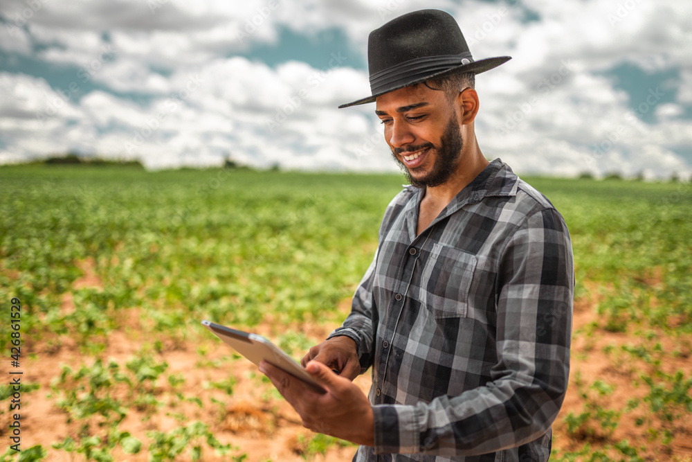 Latin American Farmer working on soybean plantation, examining crop development on tablet Latin American Farmer working on soybean plantation, examining crop development on tablet