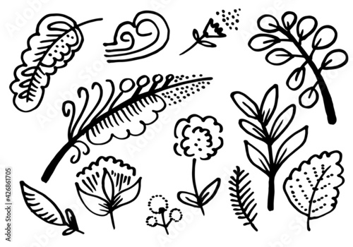 a collection of hand-drawn flower images such as bellflower, chrysanthemums, sunflowers, cotton flowers, and tropical leaves