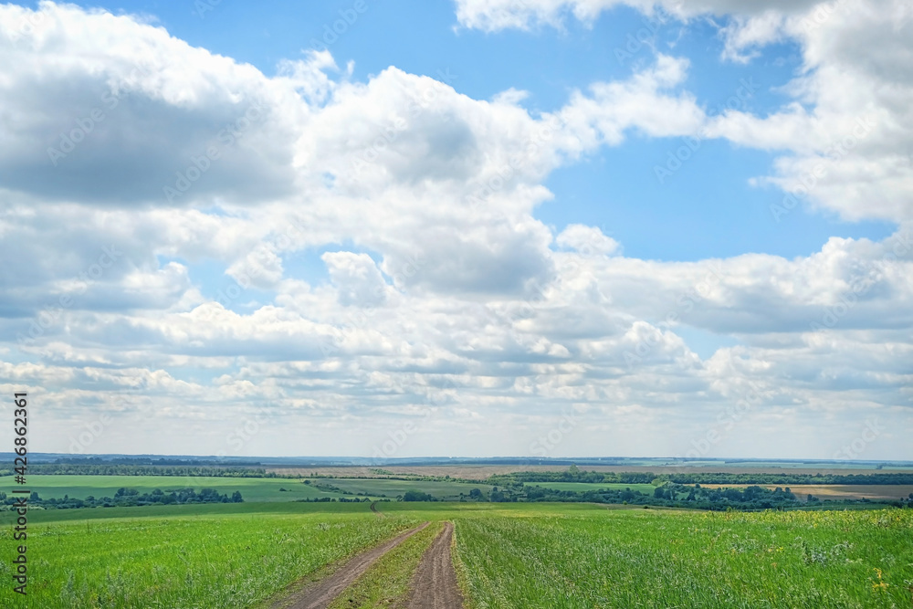 natural summer background. green field, road, blue clouds sky. rustic bright countryside landscape.