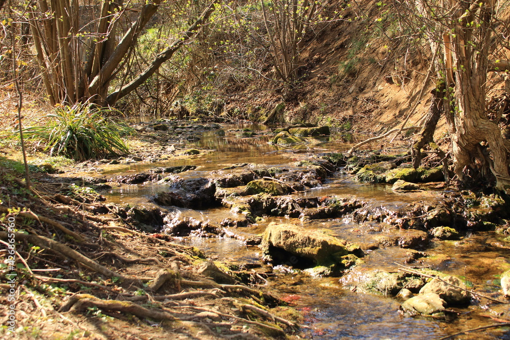 Idyllischer Strudelbach zwischen Weissach und Flacht im Heckengäu Idyllischer Strudelbach zwischen Weissach und Flacht im Heckengäu