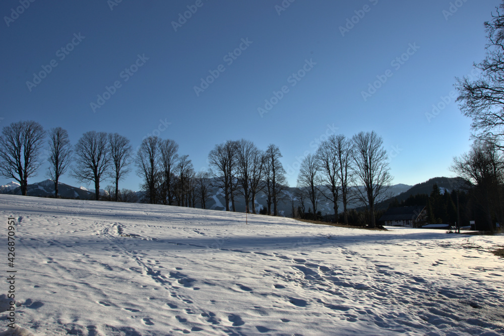Obraz premium Winter landscape in noon mood in the mountains