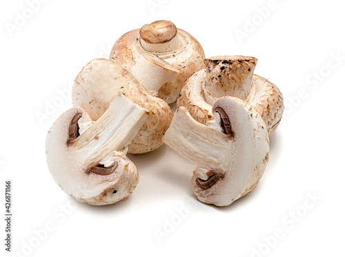 Champignon mushroom, close-up, isolated on white background