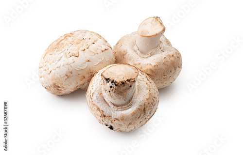 Champignon mushroom, close-up, isolated on white background