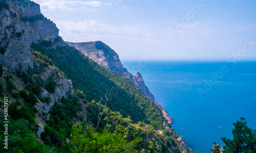 Green forest on rocks around a small bay on a sunny summer day