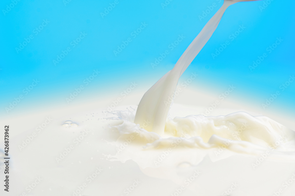 splash on the surface of milk and splashes on a blue background splash on the surface of milk and splashes on a blue background