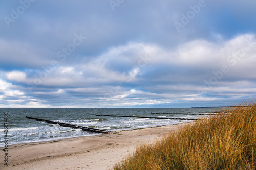 Buhnen an der K  ste der Ostsee auf dem Fischland-Dar  