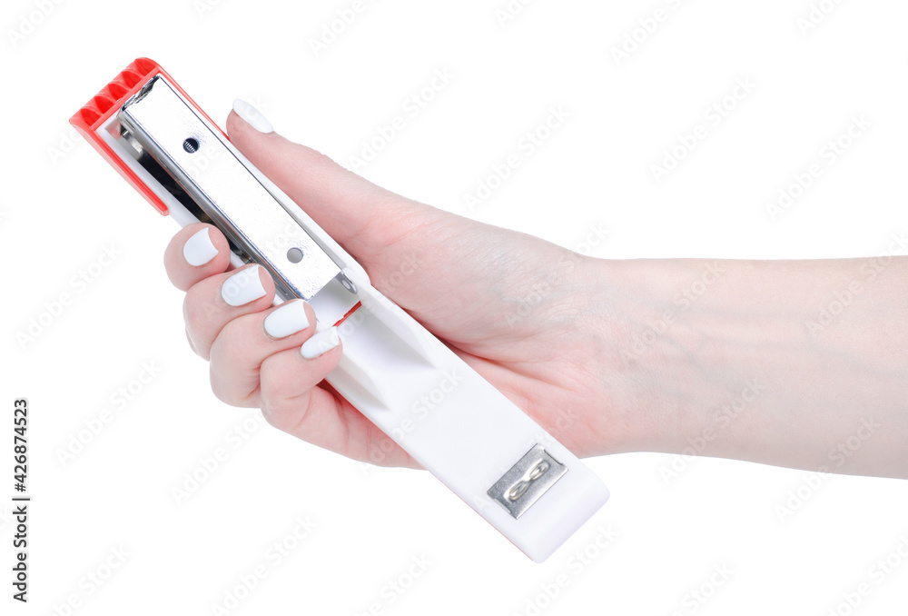 stapler in hand on white background isolation stapler in hand on white background isolation