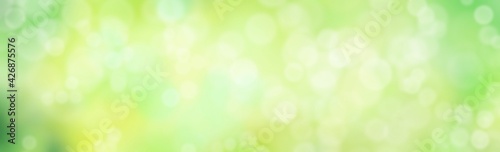 Green banner background with beautiful bokeh.