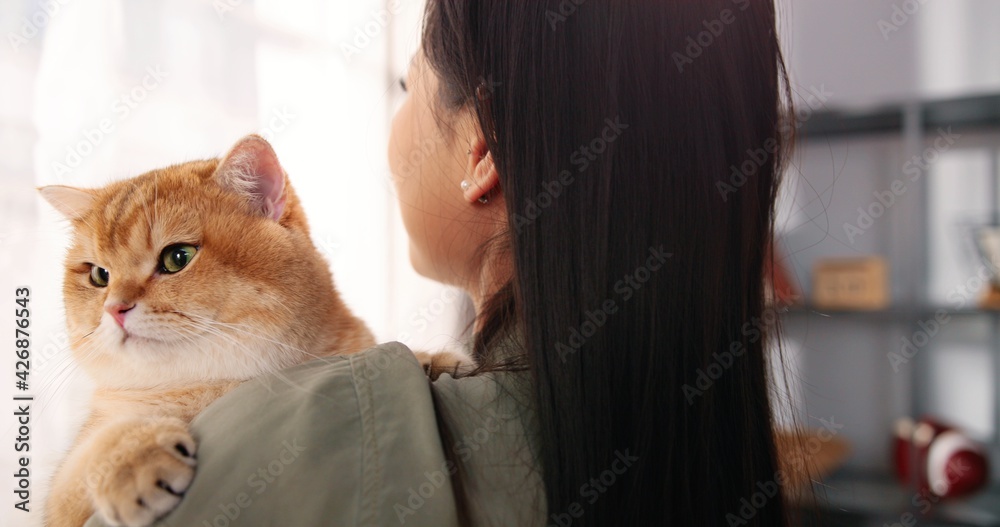 Over shoulder view of beautiful young female holding cute fluffy cat in hands at home near window. Relaxed big animal pet in owner's arms, kitten friend, close up, family member, pet lover concept Over shoulder view of beautiful young female holding cute fluffy cat in hands at home near window. Relaxed big animal pet in owner's arms, kitten friend, close up, family member, pet lover concept