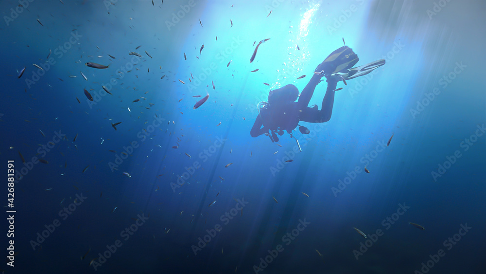 Obraz premium Scuba diver swimming into the deep blue sea