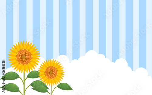 ひまわりと入道雲とストライプ背景つきイラスト