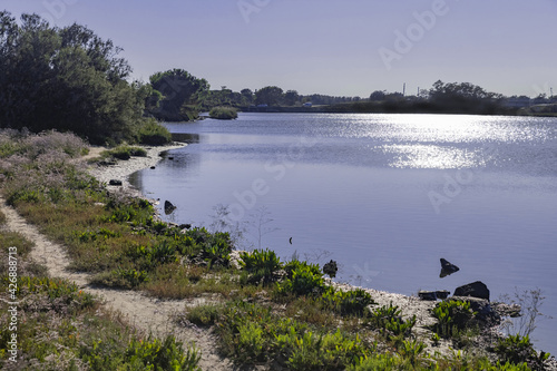 natural inlet of the PO delta