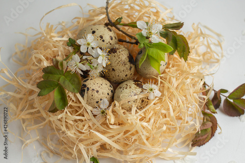 quail egg in a nest Easter ho;iday decoration. with flowers  and leaves. zero waste. eco photo