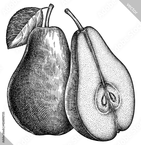 Engrave isolated pear hand drawn graphic vector illustration