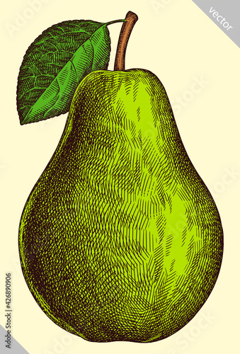 Engrave isolated pear hand drawn graphic vector illustration