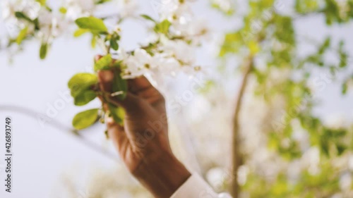 Woman and nature