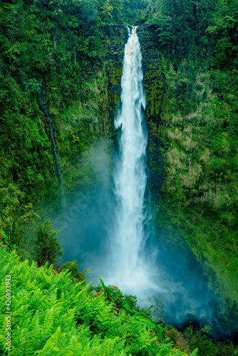 akaka falls hawaii