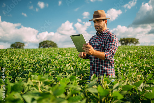 Latin American Farmer working on soybean plantation, examining crop development on tablet photo