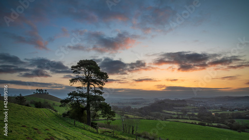 Beautiful vibrant sunrise landscape image of Colmer's Hill in Dorset on a Spring morning © veneratio