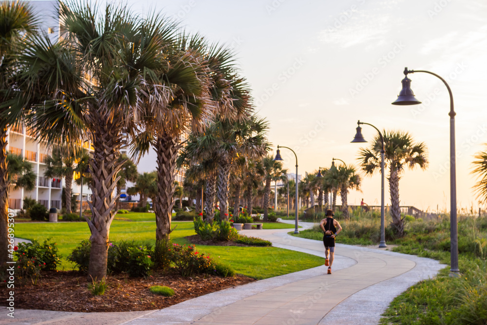 A beautiful park with palm trees, green grass and lanterns in the sun, the ocean on the horizon. Summer background. Morning tropical landscape with palm trees. Myrtle Beach, SC, USA