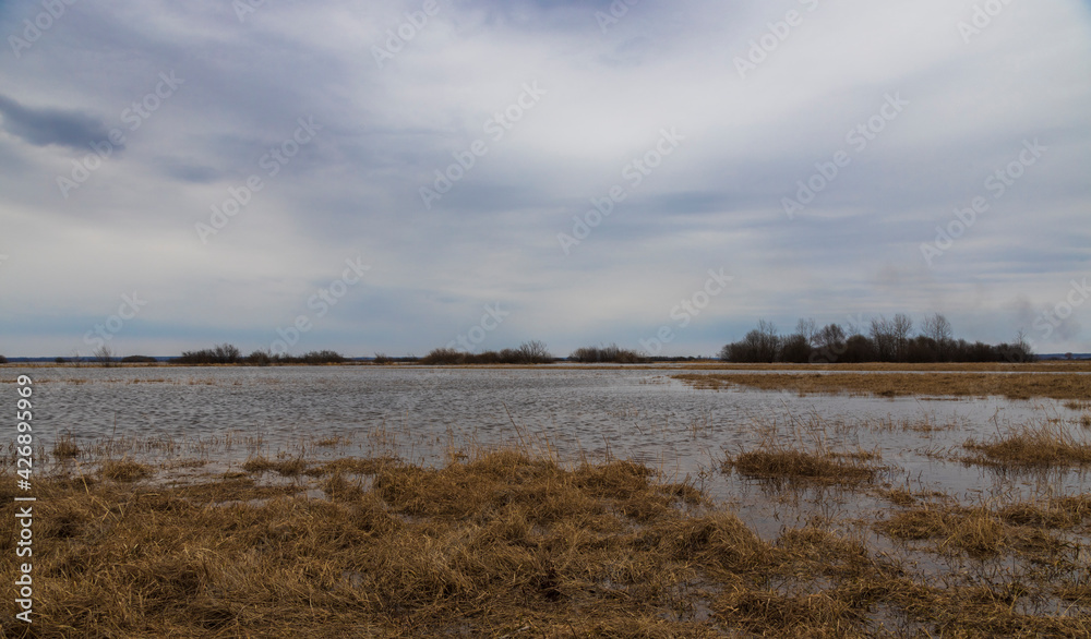 Landscape with a flooded field. On a cloudy day with a grey spring sky. The river is overflowing. Dry grass sticks out of the water. Landscape with a flooded field. On a cloudy day with a grey spring sky. The river is overflowing. Dry grass sticks out of the water.