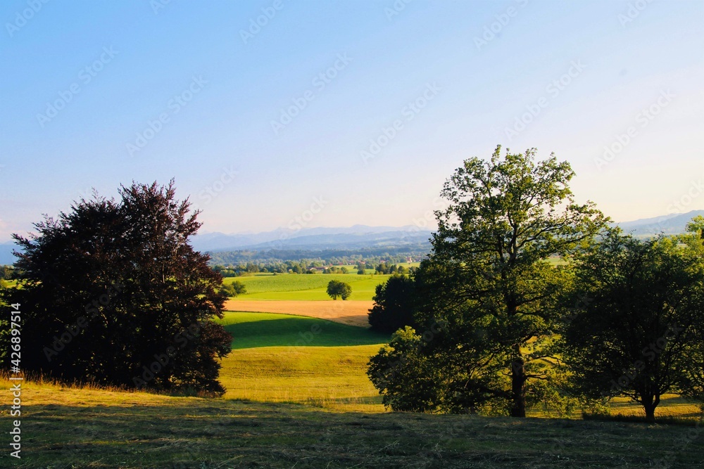 Obraz premium landscape