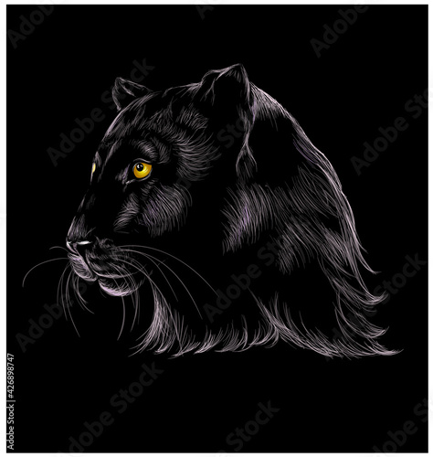 Panther black. Color, graphic, hand-drawn portrait of a Panther on a black background.	
