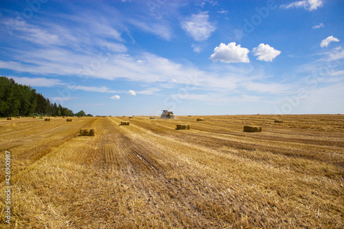 A tractor uses a trailed bale machine to collect straw in the field and make round large bales. Agricultural work  baling  baler  hay collection in the summer field. Agricultural work concept.