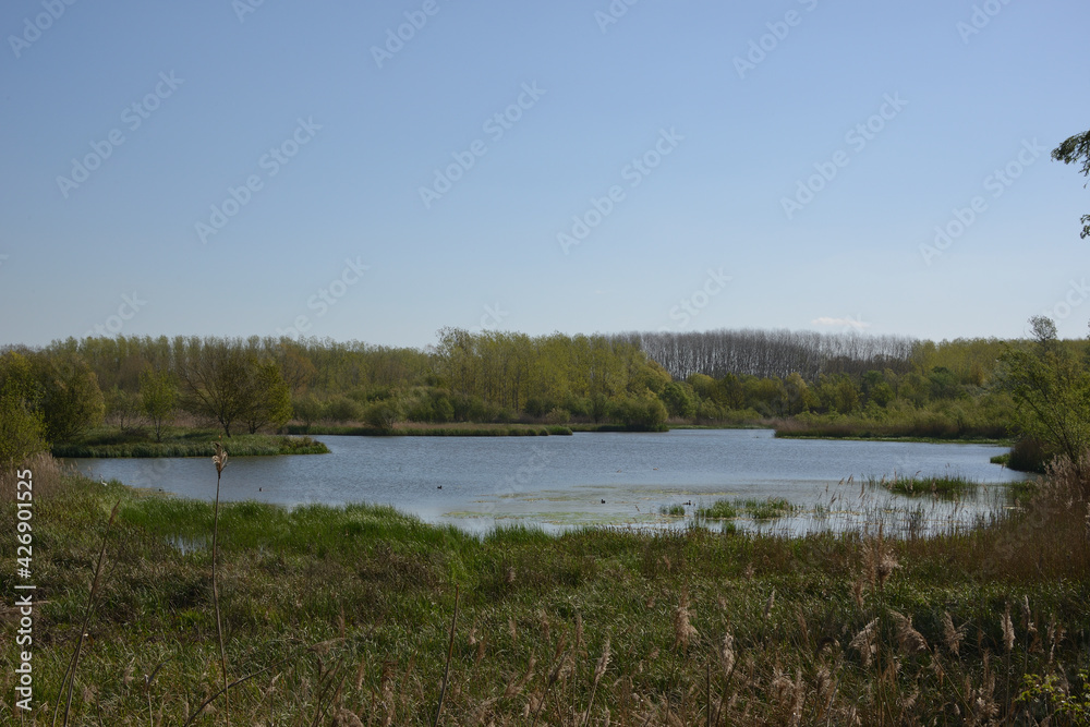 Paisaje cercano a un humeral, caminos, humeral ,idoneo para paseos.