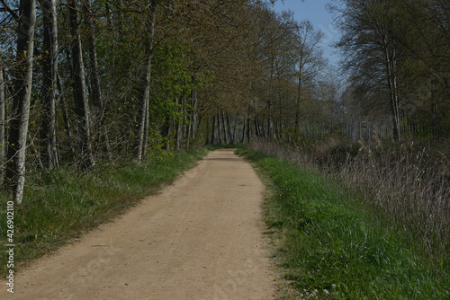 Paisaje cercano a un humeral, caminos, humeral ,idoneo para paseos.