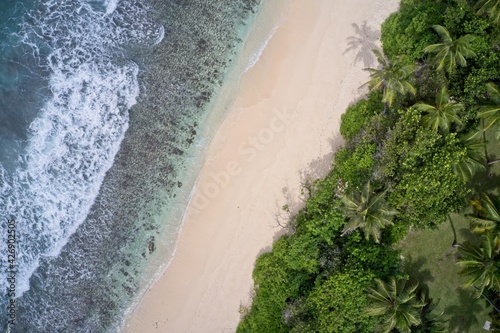 Aerial view of palm trees and beach forming patterns in nature background Praslin, Seychelles.