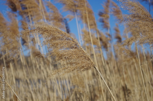 Where spring goes, I look there too 