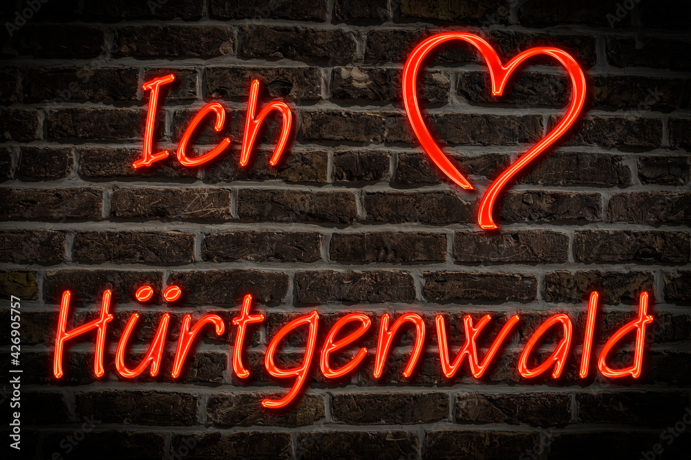 Fototapeta premium Hürtgenwald