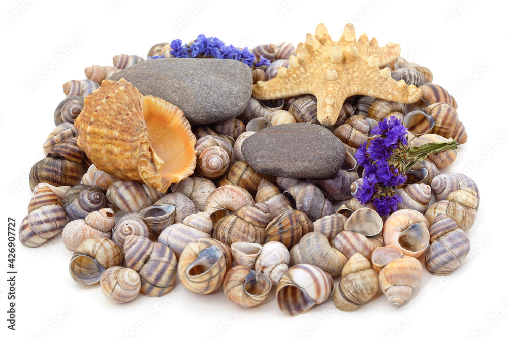 Seashells, pebbles, starfish, dried flowers.