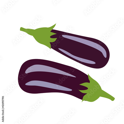 set of vegetables. fresh vegetables. eggplant  in a flat style. stock vector illustration isolated on white background.