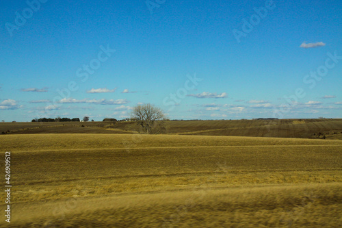landscape with a field