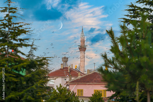 Village in anatolia with its minaret and water tank tower, Elhan, Emirdag, Afyonkarahisar, Turkey photo