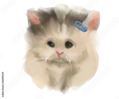 white kitten with a hairpin
