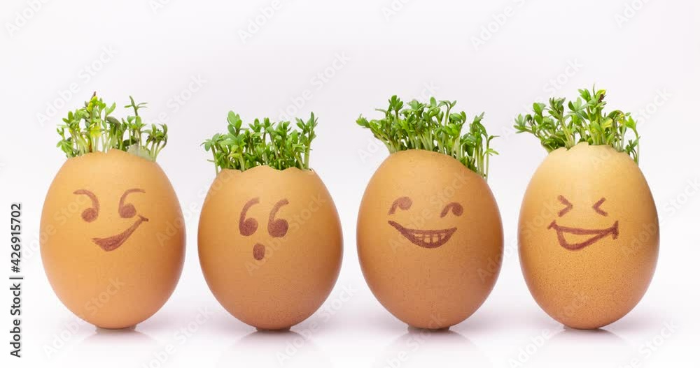 Growing Cress in Egg Shells, egg shells with faces drawn on, Eggheads With Cress Hair, Fresh sprouts