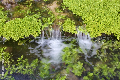 stream with sand and greenery