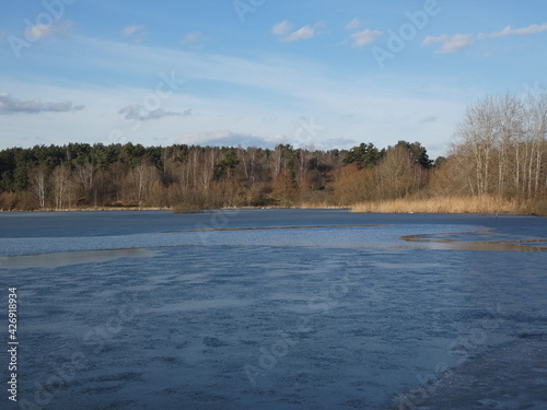 Winter landscape with frozen pond surrounded by reeds and trees, Staw Wróbla, Poland