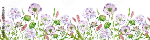 Watercolor seamless border with wildflowers, scabious flowers. Filed flowers header. photo