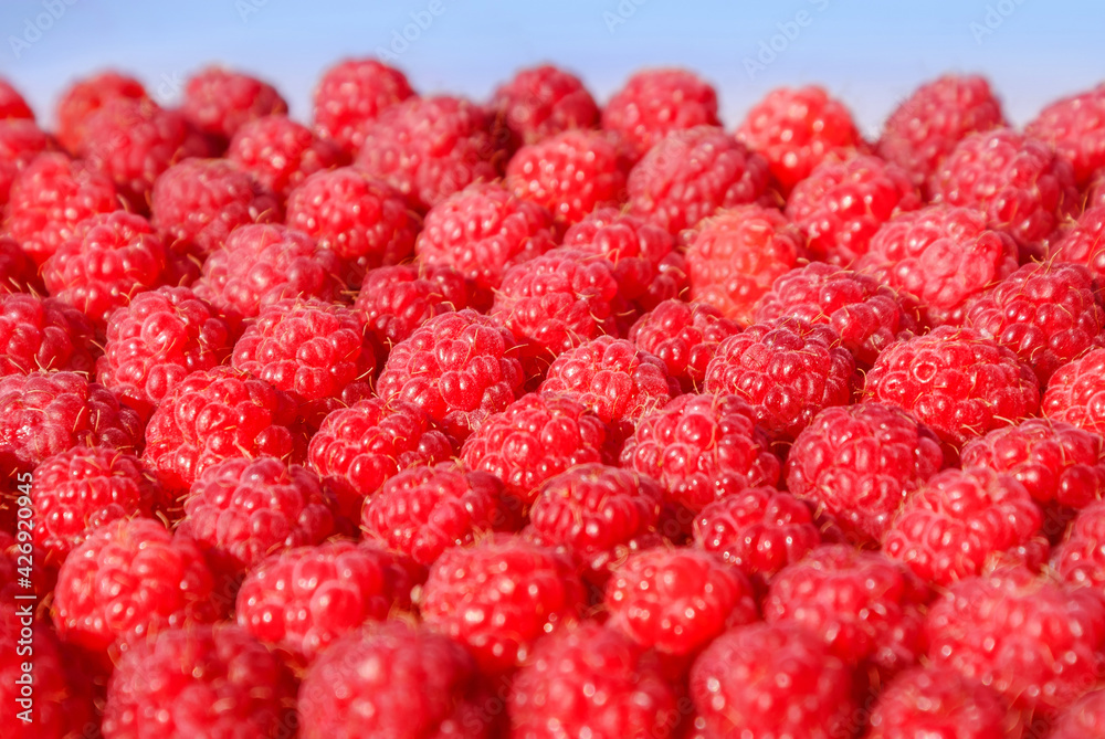 Lots of ripe raspberry, background Lots of ripe raspberry, background
