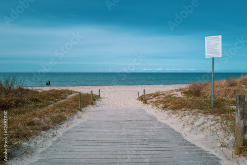 Fototapeta Naklejka Na Ścianę i Meble -  path leads to the blue water of the Baltic Sea and the sky is blue