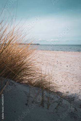 Fototapeta Naklejka Na Ścianę i Meble -  a beach and the blue water of the Baltic Sea and the sky is blue