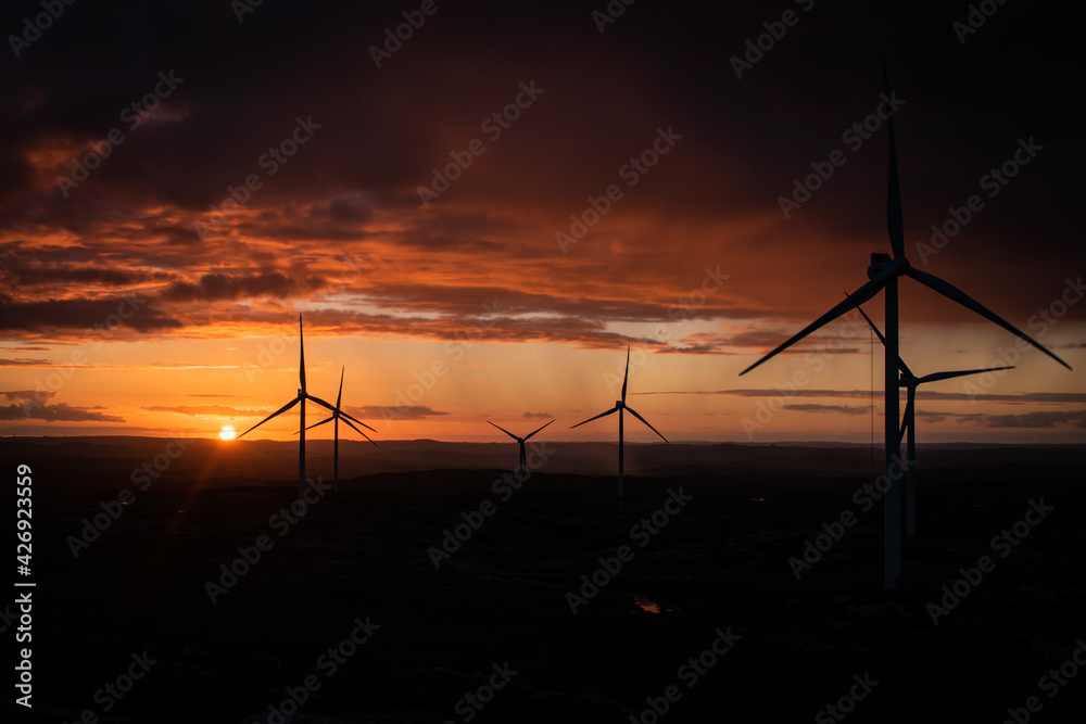 Fototapeta premium wind turbines at cloudy sunset