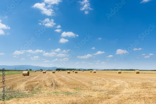 Obraz bele słomy na polu, błękitne niebo, białe obłoki