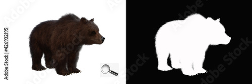 Isolated brown bear with clipping path and alpha channel on a transparent image background. Image is easy to use and suitable for all types of artwork and printing. 3d rendering, 3d illustration.