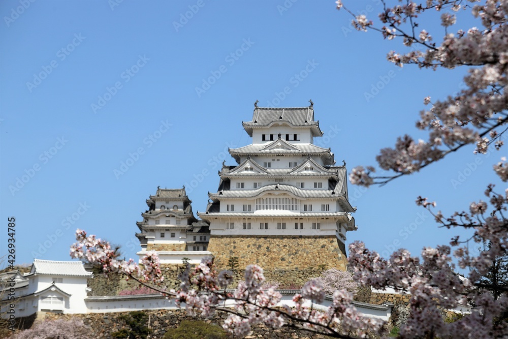 姫路城 満開の桜 姫路城 満開の桜