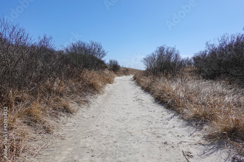 Long horizontal view of a curved sandy trail through brown tall grass and bushes photo